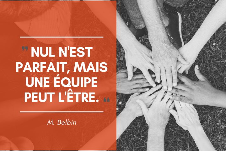 nul n'est parfait, mais une équipe peut l'être