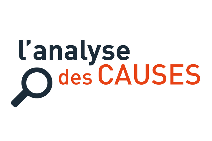 ANALYSE DES CAUSES
